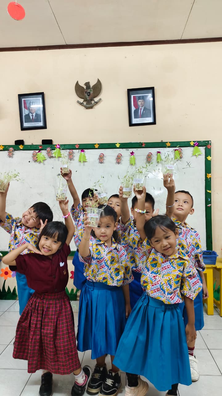 Mengamati Pertumbuhan Kecambah